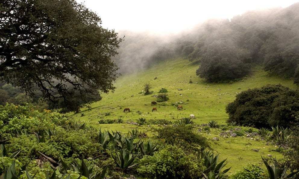 Camping spots in San Luis Potosí