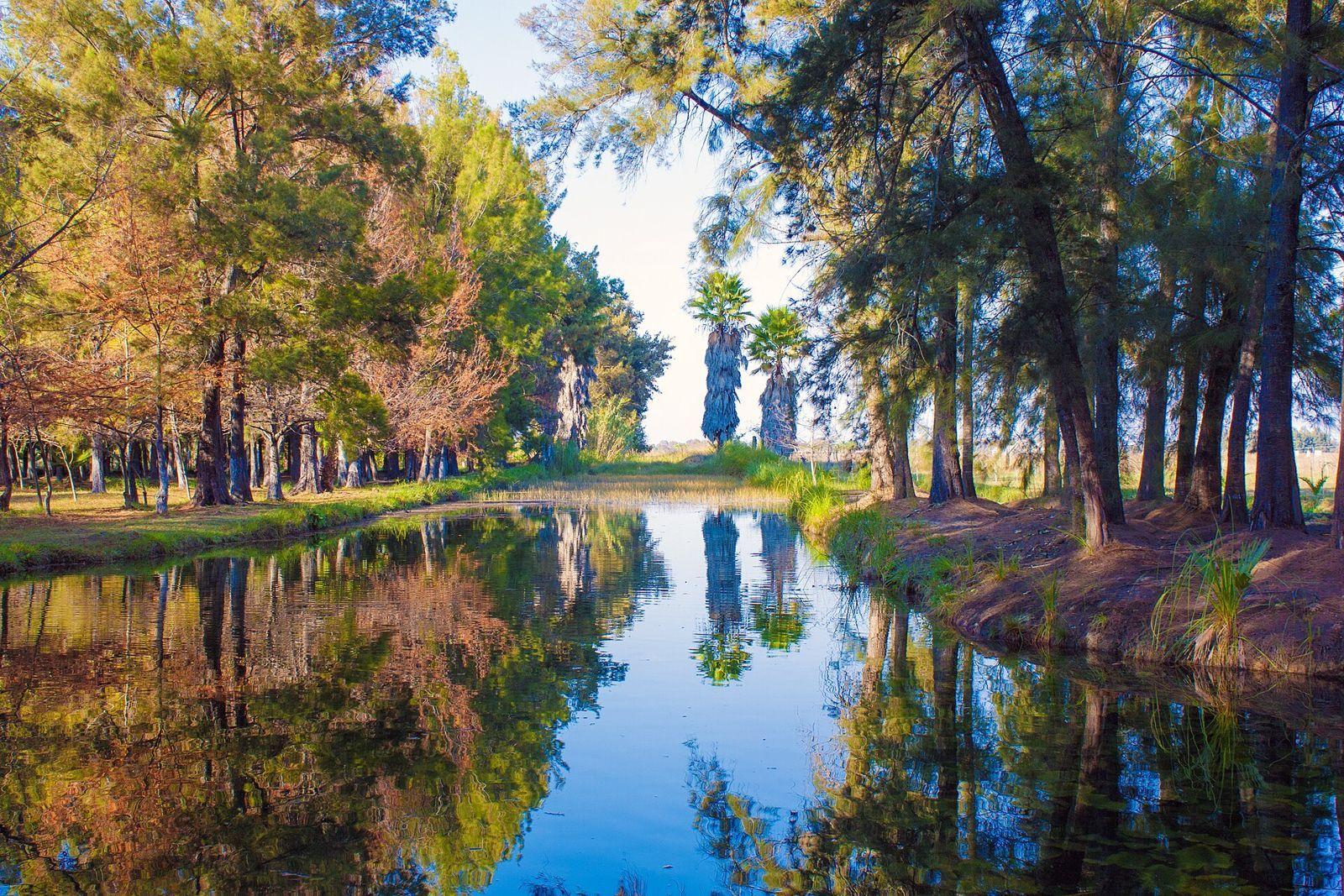 Best Family Camping Near San Luis Potosí: 9 Places Worth the Drive (2026)