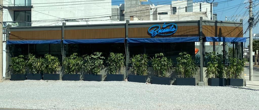 La Bocanita Sierra Leona — Seafood in San Luis Potosí