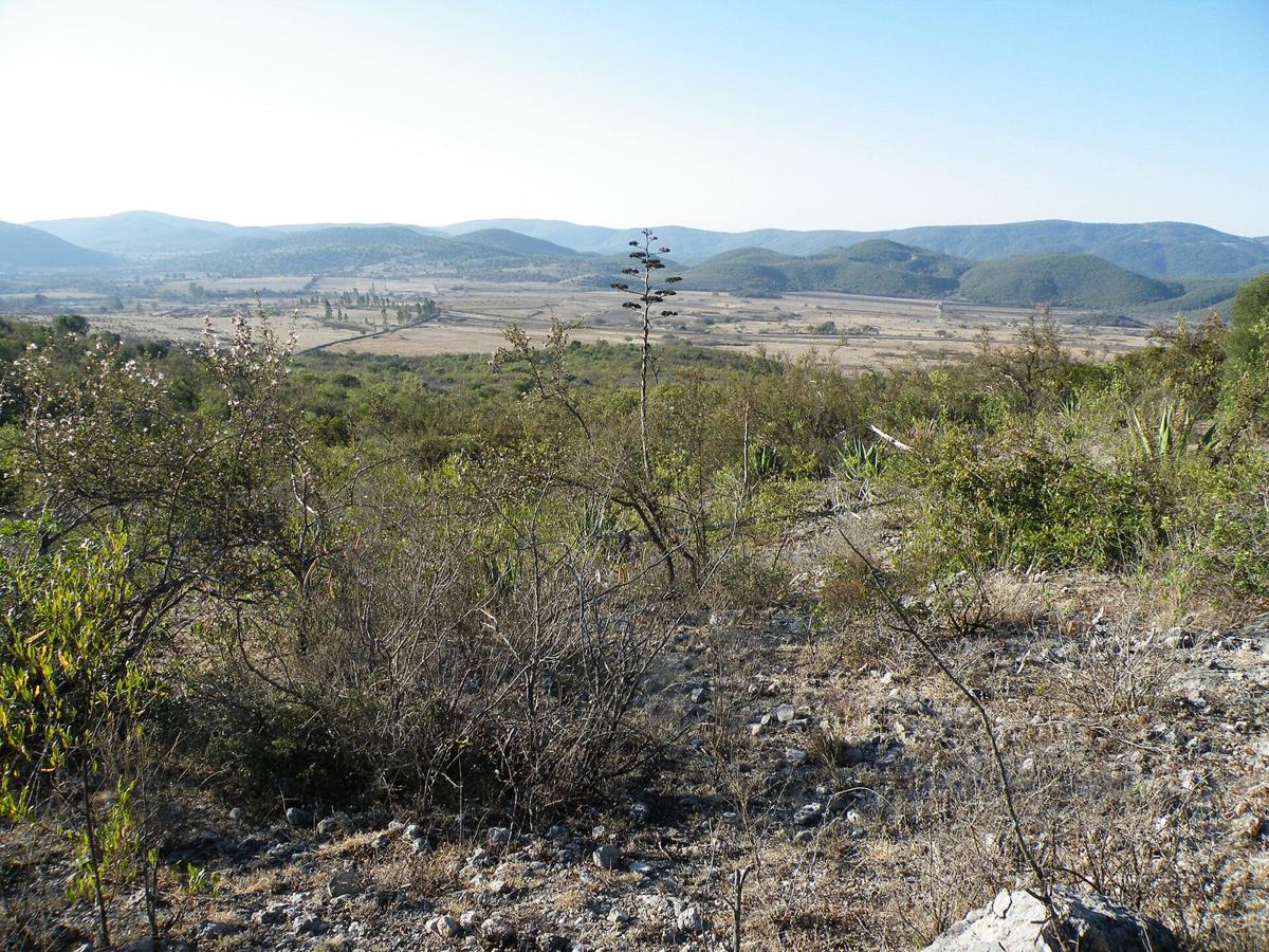 The open country around Guadalcázar, on the way to El Realejo.