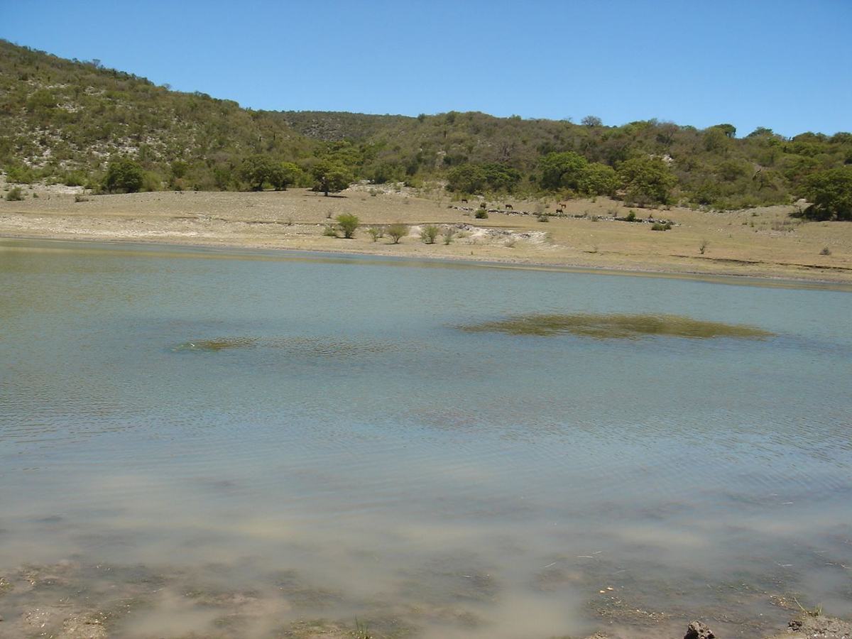 One of the small desert reservoirs near Guadalcázar.