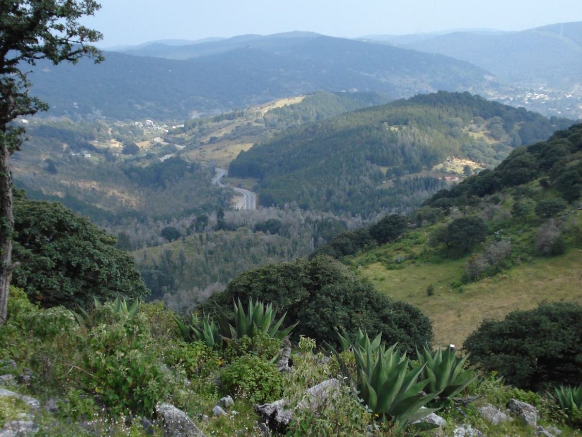 The Sierra de Álvarez near the Valle de los Fantasmas: pine-oak forest about 45 minutes from the city.