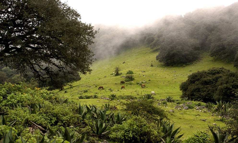 Camping spots in San Luis Potosí