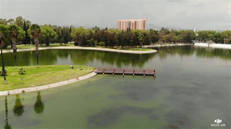 Lake at Tangamanga Park