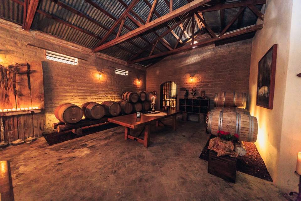 San Miguelito Valley - Vineyard view